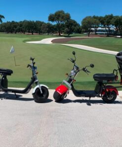 CITY GOLF MOVE-E - Imagen 3