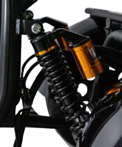 STREET COMFORT 1500W 1x20Amp Litio Extraible Matriculable - Imagen 4