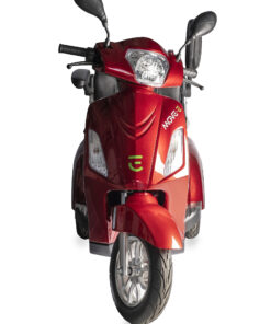 Alternative view of CLASSIC TRIKE MOVE-E