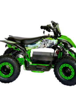 Alternative view of QUAD FULL-ROAD MINI MOVE-E
