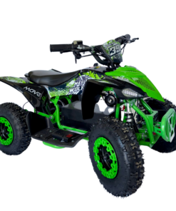 QUAD FULL-ROAD MINI MOVE-E